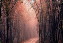 东升国际官网：记者：国米已续约皮奥-埃斯波西托至2030年，年薪略高于100万.