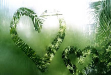 东升国际官网:北京女足主帅谈张琳艳:近期在德国康复,确认完全康复后才会上场.