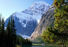 父亲误杀坐牢到被乱枪打死!被“子弹”击中的天才终于杀回NBA.