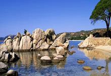 东升国际官网：[天下足球]帕尔默造四球 切尔西客场大胜狼队.